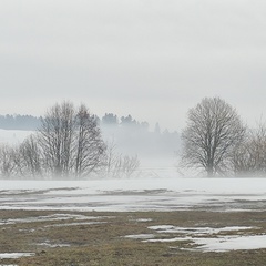 Наталия Бойко, 41 год, Ижевск