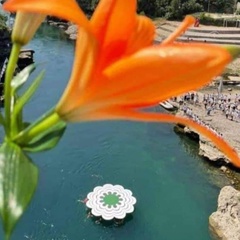 Merima Meri, 36 лет, Mostar