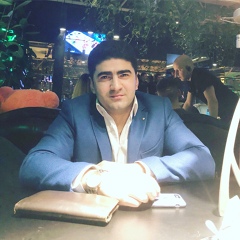 Farid Huseynov, Киев