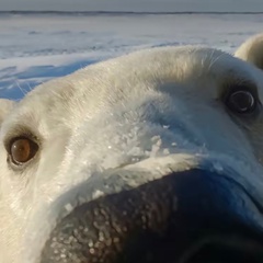 Дмитрий Отчимов