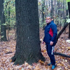 Андрей Припадчев