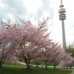 Виктория Пугач, 37 лет, München