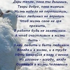 Алёна Табунова, Вологда