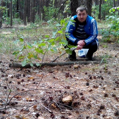 Алексей Таскин, 36 лет, Харьков