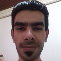 Roozbeh Keshvari, 33 года, Rasht