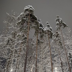 Юля Семенова, Санкт-Петербург