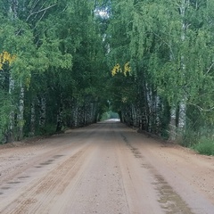 Дмитрий Коровин, Архангельск