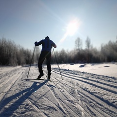 Александр Заворин