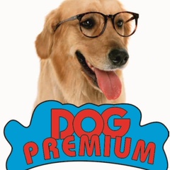 Dog Premium, Алматы