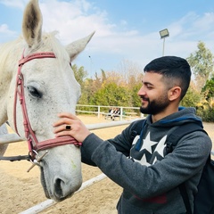 Ali Al-Faylee, Sulaymaniyah