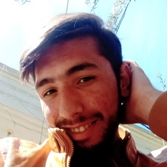 Zabih Ullah, 20 лет, Peshawar