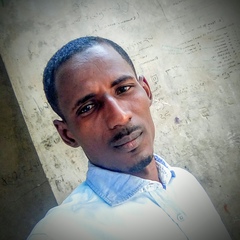 Hussaini Usman, 29 лет, Maiduguri