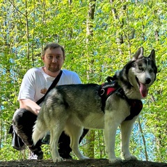 Владимир Гусаков, 35 лет, Санкт-Петербург