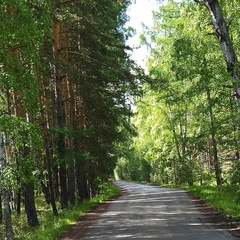 Юлия Сурина, Совхоза «Россия»