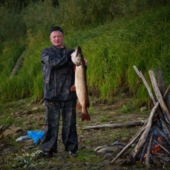 Владимир Моисеев