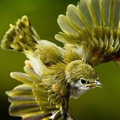 Baptiste Pernet, 40 лет, Paris