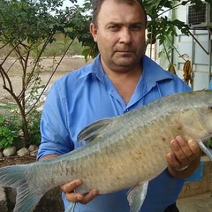 Сергей Шемяков, 55 лет