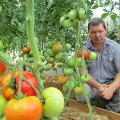 Валерий Медведев, 61 год, Шуя