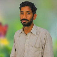 Zahid Abbas-Khan, 27 лет, Bhakkar