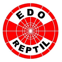 Edo Reptil, 41 год, Surabaya