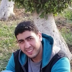 Mahmoud Temraz, 34 года, Cairo