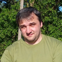 Алексей Ходаков, 41 год, Палкино