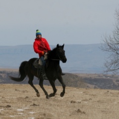 Павел Морозов, 36 лет, Москва