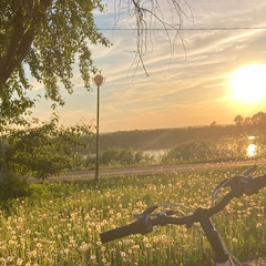 Наталия Трапезникова, Архангельск