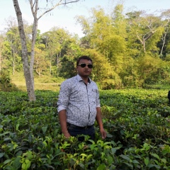 Pratap Bhattacharjee, Silchar