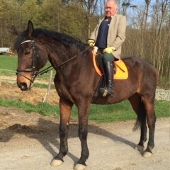 Hans Freiberg, 71 год