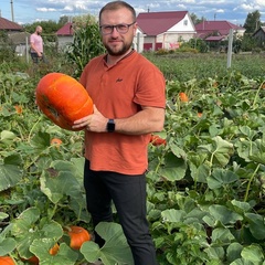 Анатолий Клишин, 37 лет, Москва