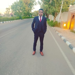 Mahmoud Abdelrahman, 31 год, Aswan