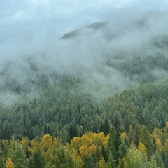 Наташа Середкина, Красноярск