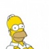 Homer Simpson, 35 лет, Springfield