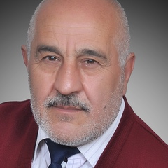 Şenel Baram, 61 год, Konya