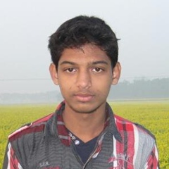 Rakib Miah, 28 лет, Tangail