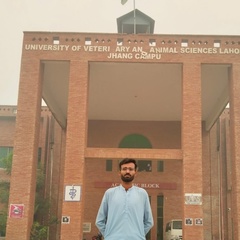 Rana Umar, 20 лет, Multan