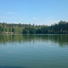 Николай Моисеев, Москва