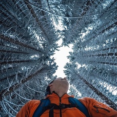 Максим Сергеевич, Архангельск