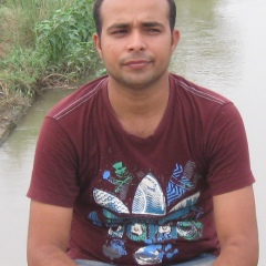 Anup Anand, 34 года, Patna