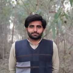 Khizar Habib, Islamabad