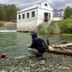 Артем Бреховских, 34 года, Новосибирск