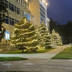 Екатерина Мельник, Санкт-Петербург