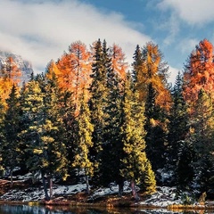 ♥♥♥ Наталичка, Москва