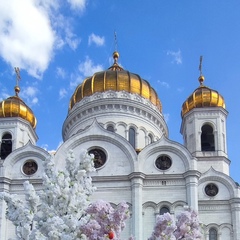 Татьяна Кардонская, Москва