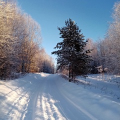 Ульяна Александровна, Зеленоград