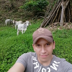 Andrés Carrillo, 41 год, Bogotá