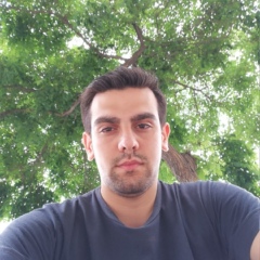 Mohammad Afsharyan, 28 лет, Tehran