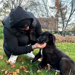 Евгений Головин, Тюмень