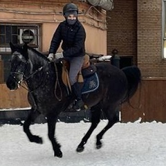 Юля Наумова, 41 год, Москва